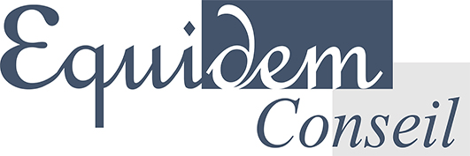 Logo Equidem Conseil